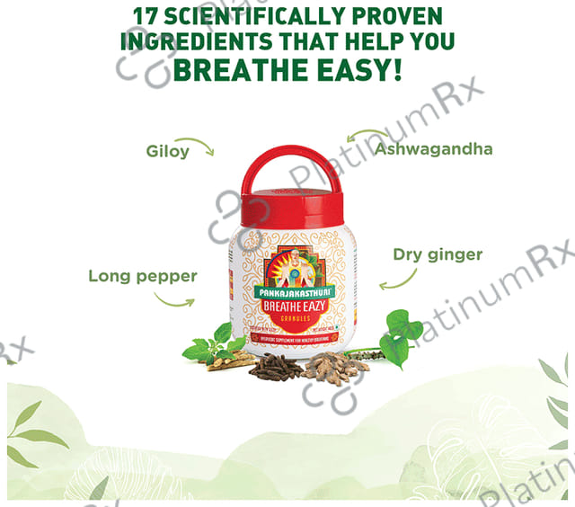 Pankajakasthuri Breathe Eazy Granules 400gm