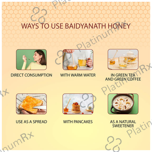Baidyanath No Sugar Adulteration Honey 500gm