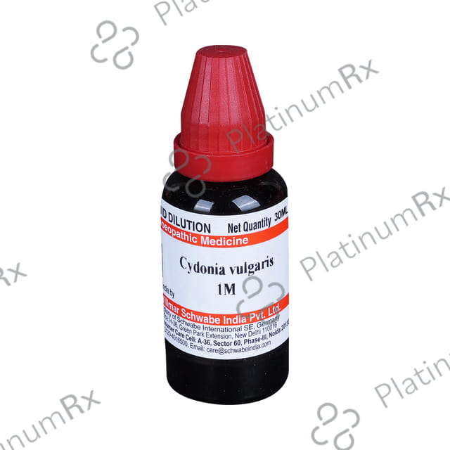 Dr Willmar Schwabe India Cydonia Vulgaris Dilution 1M