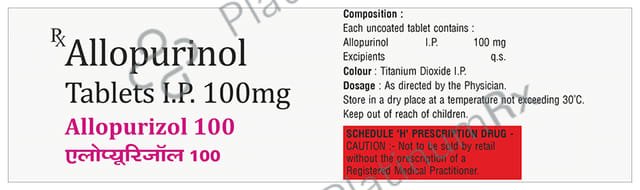 Allopurizol 100mg Tablet 10s