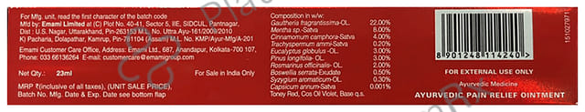 Zandu Fast Pain Relief Ayurvedic Ointment 23ml