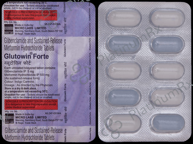 Glutowin Forte 5/500mg Tablet SR 10s