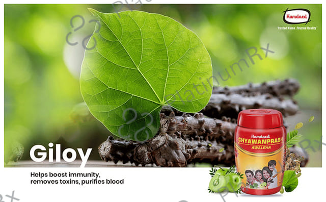 Hamdard Chyawanprash Awaleha Natural Immunity Booster 1kg