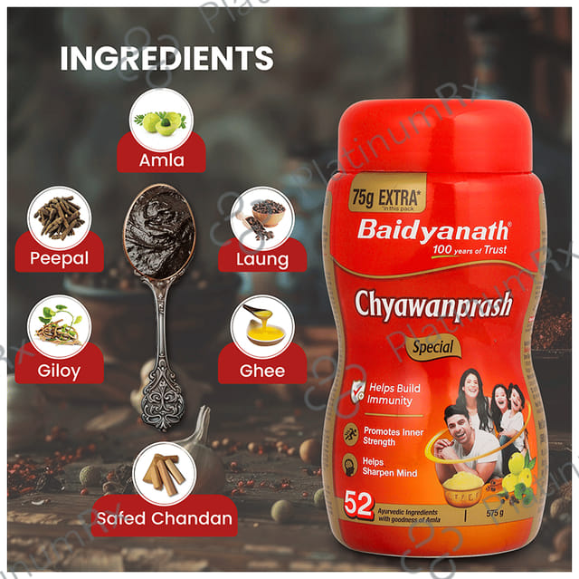 Baidyanath Noida Chyawanprash Special 575gm
