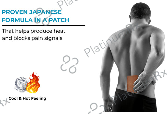 Medigrip Ayurvedic Pain Relief Patch Large Brown 20 patches