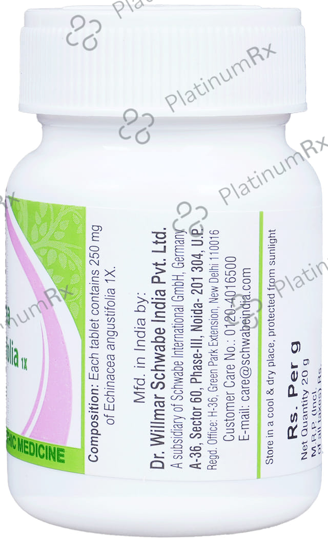 Dr Willmar Schwabe India Echinacea Angustifolia Tablet 1X