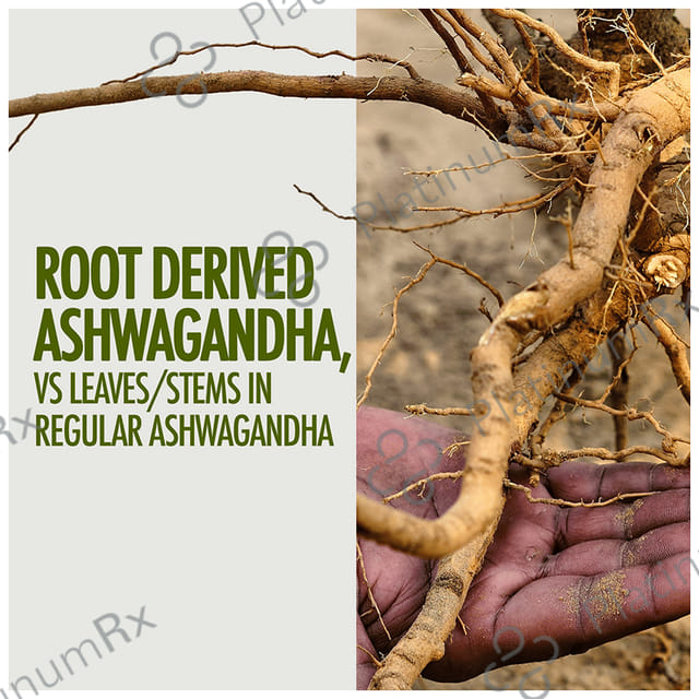 Kapiva Ayur Foods Ashwagandha Gold Capsules - for Stamina & Stress Management Capsule