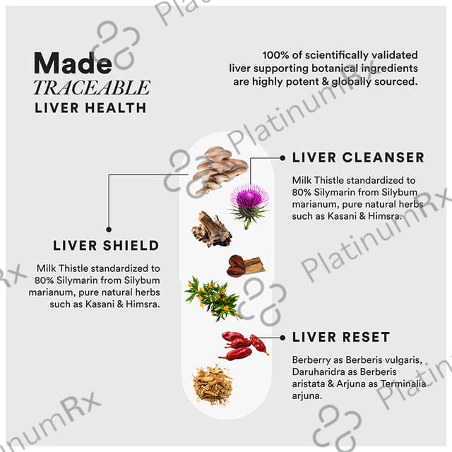 Wellbeing Nutrition Slow Liver Detox Supplement Clinically Proven Milk Thistle, Berberry + 6 Organic Herbs Capsule