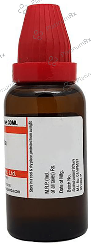 Dr Willmar Schwabe India Cydonia Vulgaris Dilution 30 CH