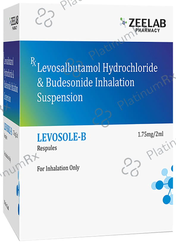Levosole B 0.5/1.25mg Respules 2X2ml