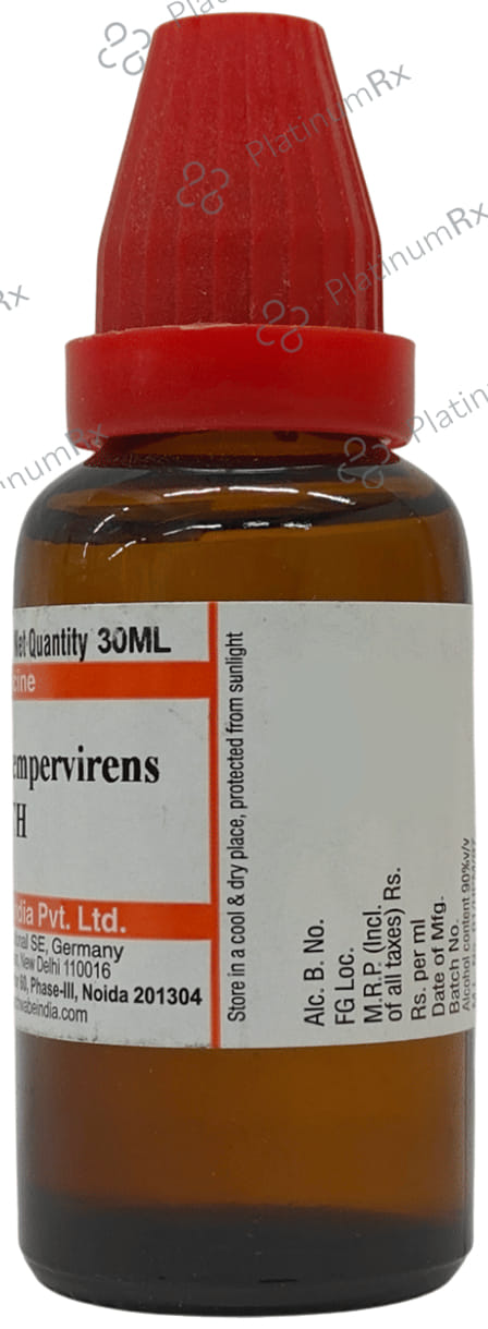 Dr Willmar Schwabe India Gelsemium Sempervirens Dilution 30 CH