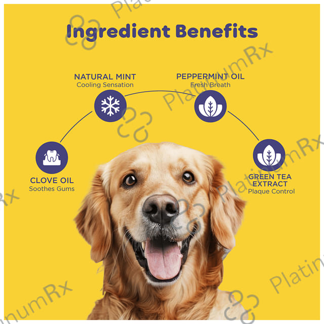 Pil's Pet Dentagel - Cat & Dog Toothpaste - Squeeze Only- No Brushing,No Rinsing