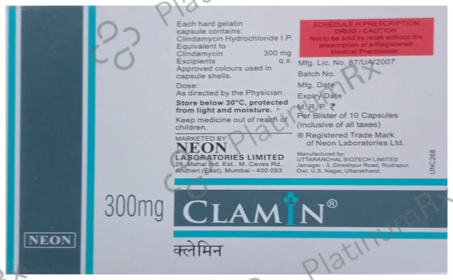 Clamin 300mg Capsule 10s