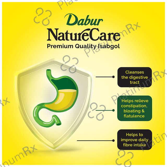 Dabur Nature Care Isabgol Powder - Eases Constipation & Supports Smooth Bowel Movement 375 gm