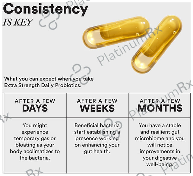 Wellbeing Nutrition Slow Gut Health with Prebiotics & Probiotics Vegan Omega Oil Capsule 60s