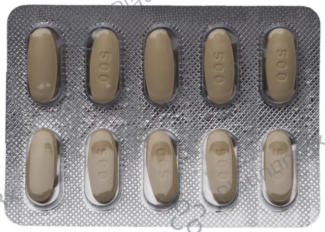 Levroxa 500mg Tablet 10s