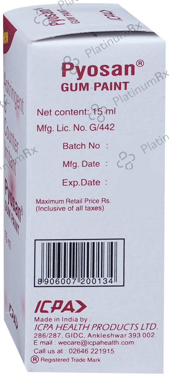 Pyosan Gum Paint 15ml