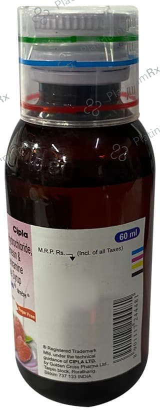 Cheston Expectorant Raspberry Sugar Free 60 Syrup