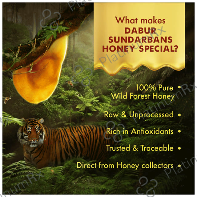 Dabur Sundarbans Forest Honey 100% Pure Honey 500gm