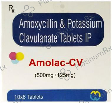 Amolac CV 500/125mg Tablet 6s