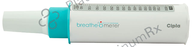 Breathe O Meter (Peak Flow Meter) Unit 1s