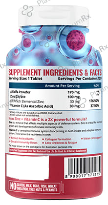 Nature Life Nutrition Zinc with Vitamin C Vegetarian Tablet
