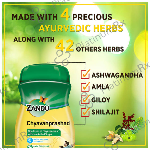 Zandu Chyavanprashad with Amla, Shilajit & Ashwagandha - For Immunity & Stamina - Sugar-Free 450 gm