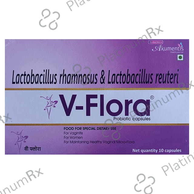 V Flox 500mg Tablet