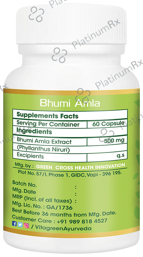 Vitagreen Bhumi Amla 500mg Capsule 60s