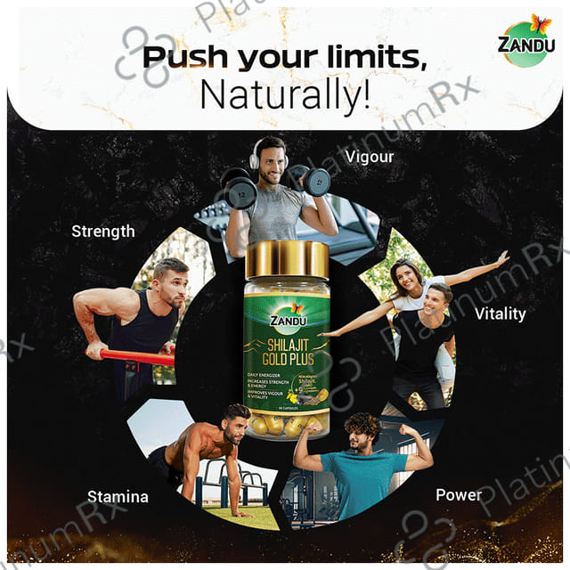 Zandu 500mg Shilajit Gold Plus Capsule 60s