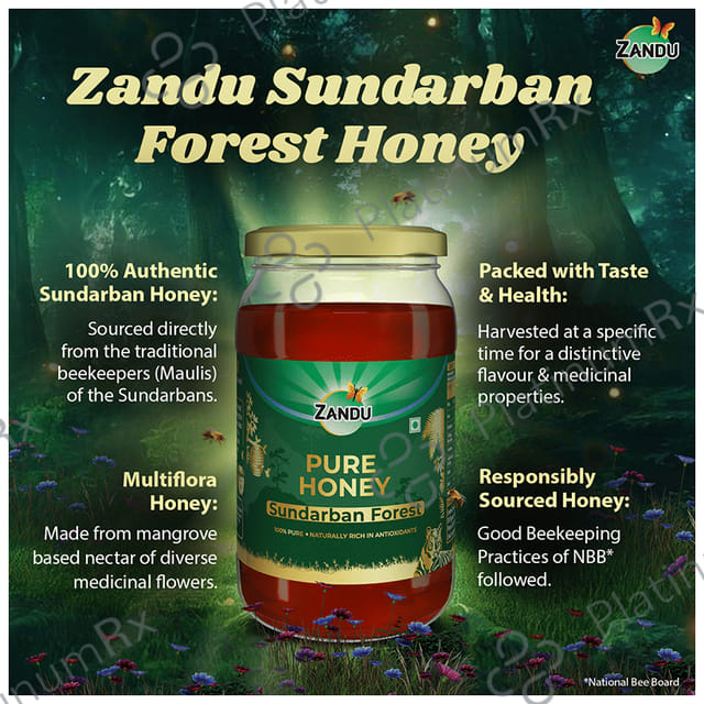 Zandu Sundarban Forest Pure Honey