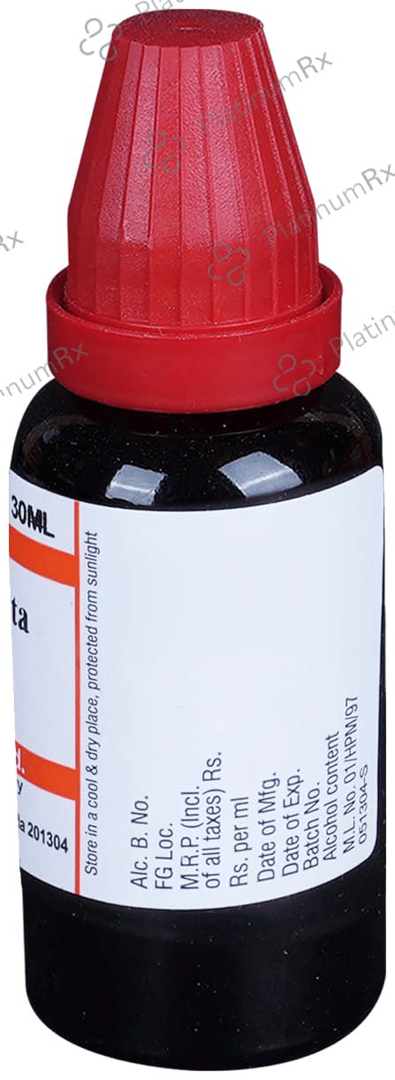 Dr Willmar Schwabe India Sterculia Acuminata Mother Tincture Q