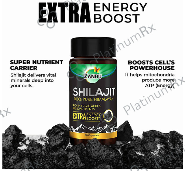 Zandu 500mg Shilajit Capsule 60s