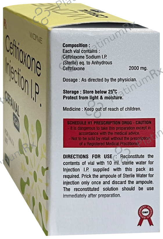 Cefaval 2gm Injection 1s