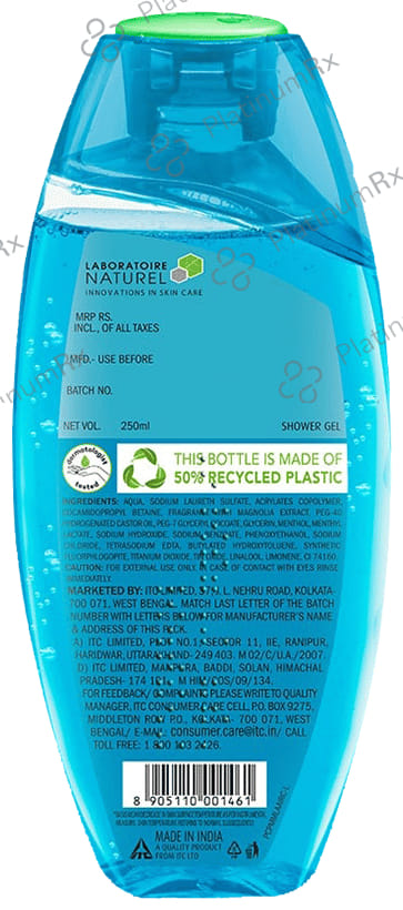 Fiama Menthol & Magnolia Cooling Shower Gel 250 ml