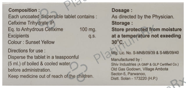 Cefic 100mg Tablet DT 10s