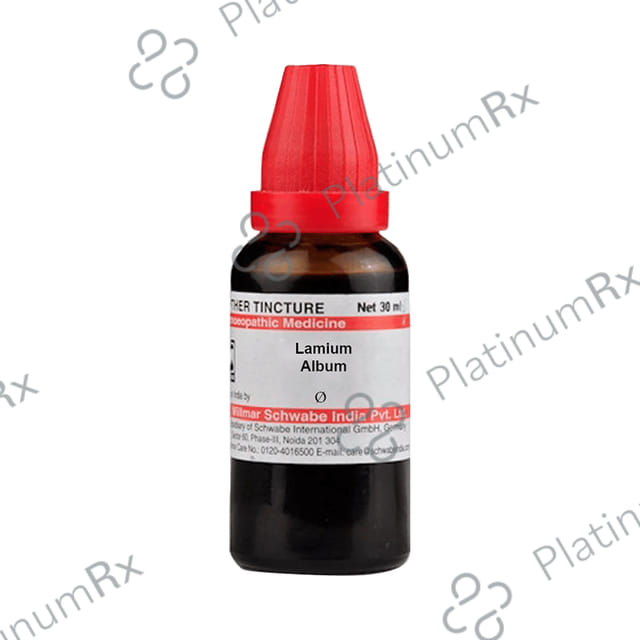 Dr Willmar Schwabe India Lamium Album Mother Tincture Q
