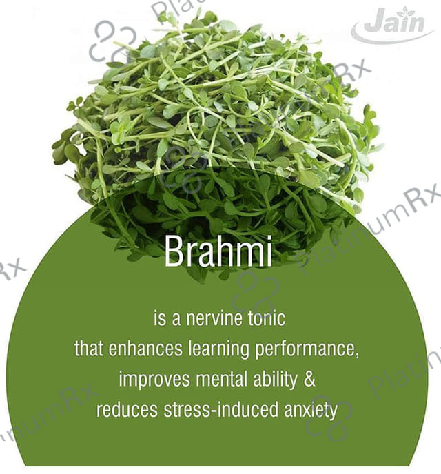 Jain Brahmi (Bacopa Monnieri) Powder 400 gm