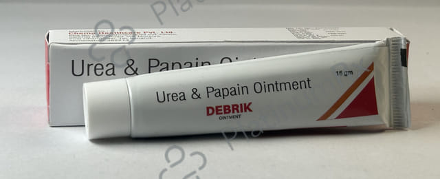 Debrik 100mg Ointment 15gm