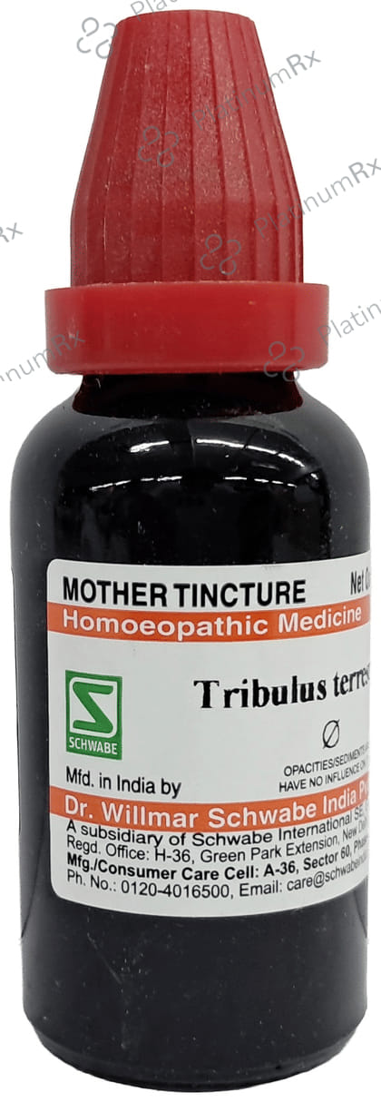 Dr Willmar Schwabe India Tribulus Terrestris Mother Tincture Q