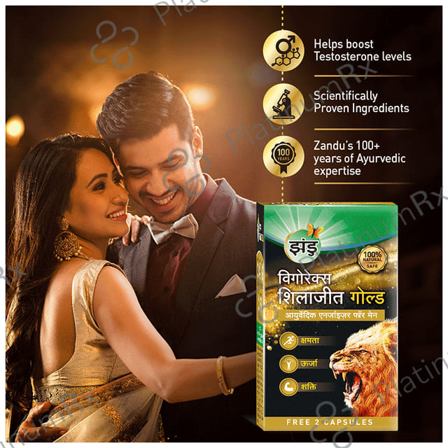 Zandu Vigorex Shilajit Gold Capsule