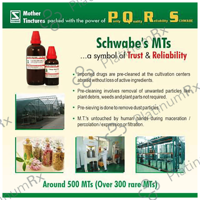 Dr Willmar Schwabe India Arnica Montana Mother Tincture Q