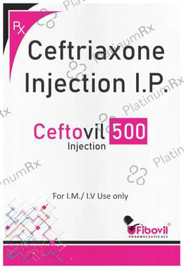 Ceftovil 500mg Injection