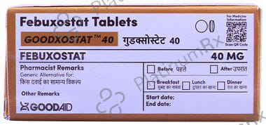 Goodxostat 40mg Tablet 10s