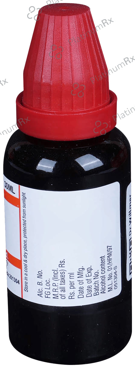 Dr Willmar Schwabe India Ginkgo Biloba Mother Tincture Q