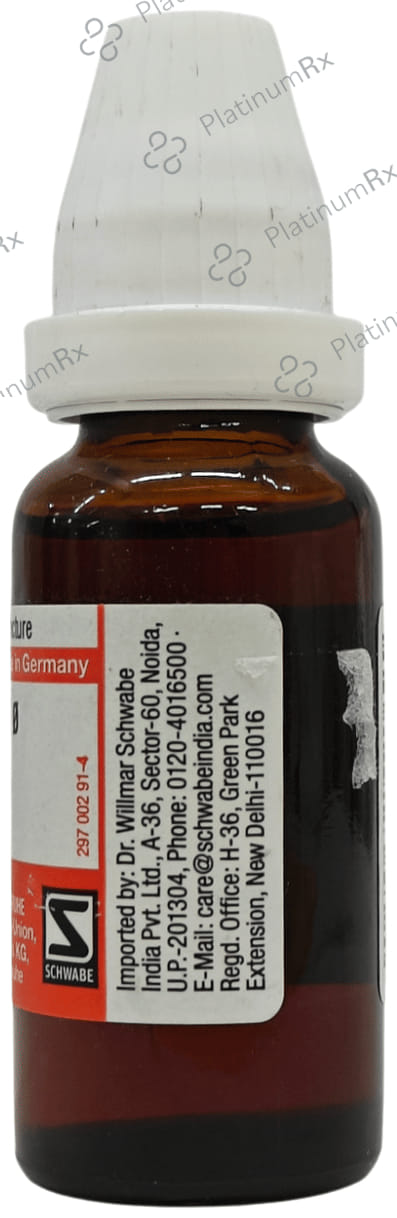 Dr Willmar Schwabe Germany Crataegus Oxyacantha Mother Tincture Q