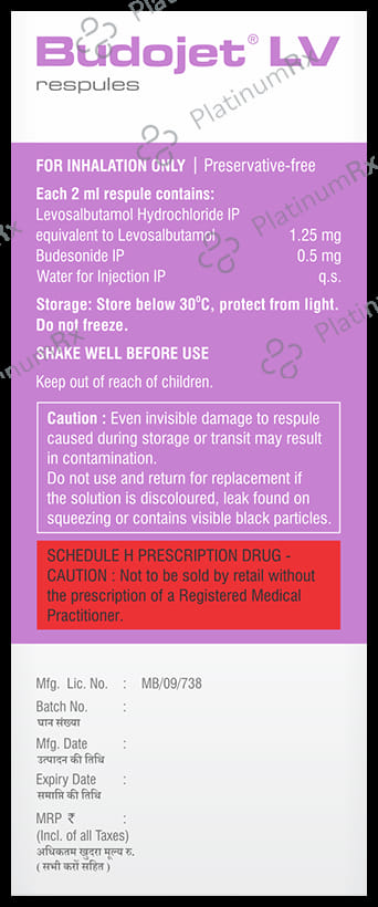 Budojet LV 1.25mg/0.5mg Respules 2X2ml
