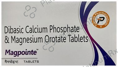 Magpointe Tablet