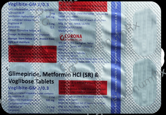 Voglibite GM 2/0.3mg Tablet SR 10s