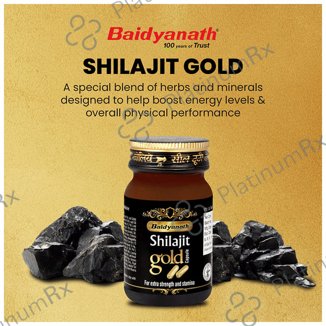 Baidyanath (Noida) Shilajit Gold Capsule